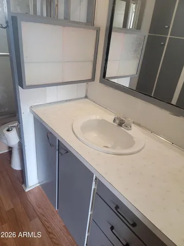 a bathroom with a sink and a mirror
