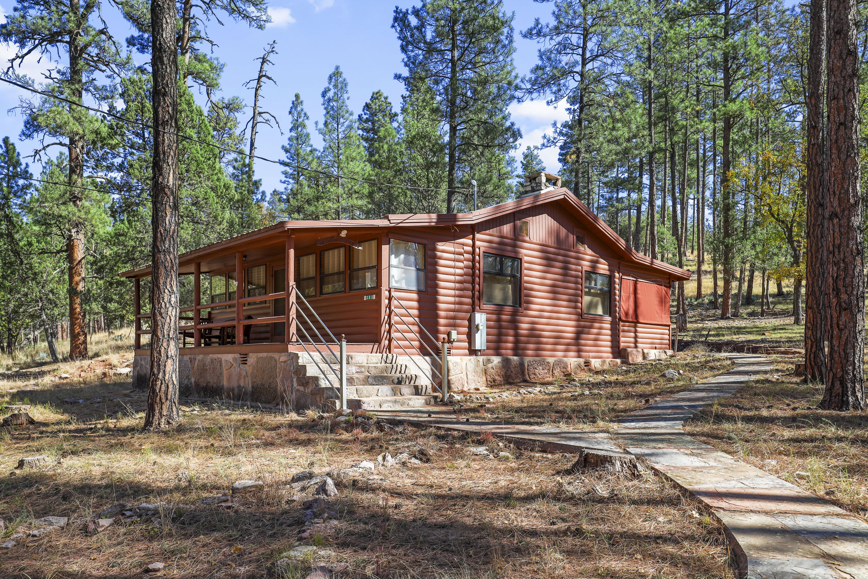 383 West Diamond Road Payson, AZ 85541 - Photo 5 of 32 mls-1E0A9931