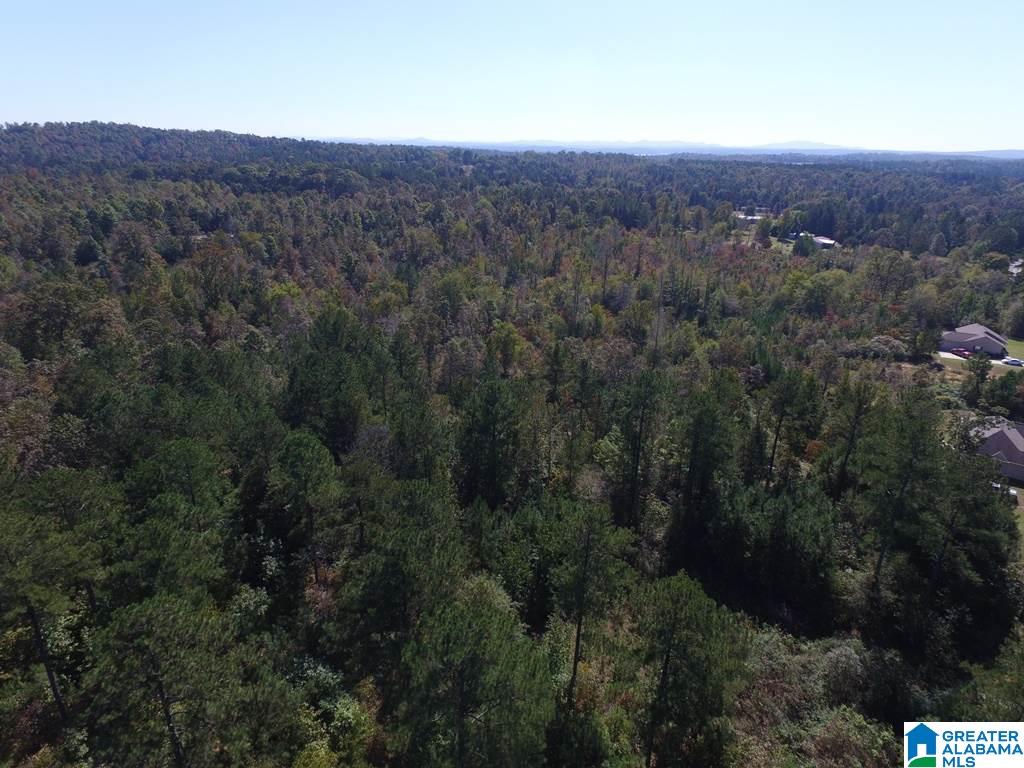 Sprayberry Road, Unit 103 Cropwell, AL 35054 - Photo 3 of 48
