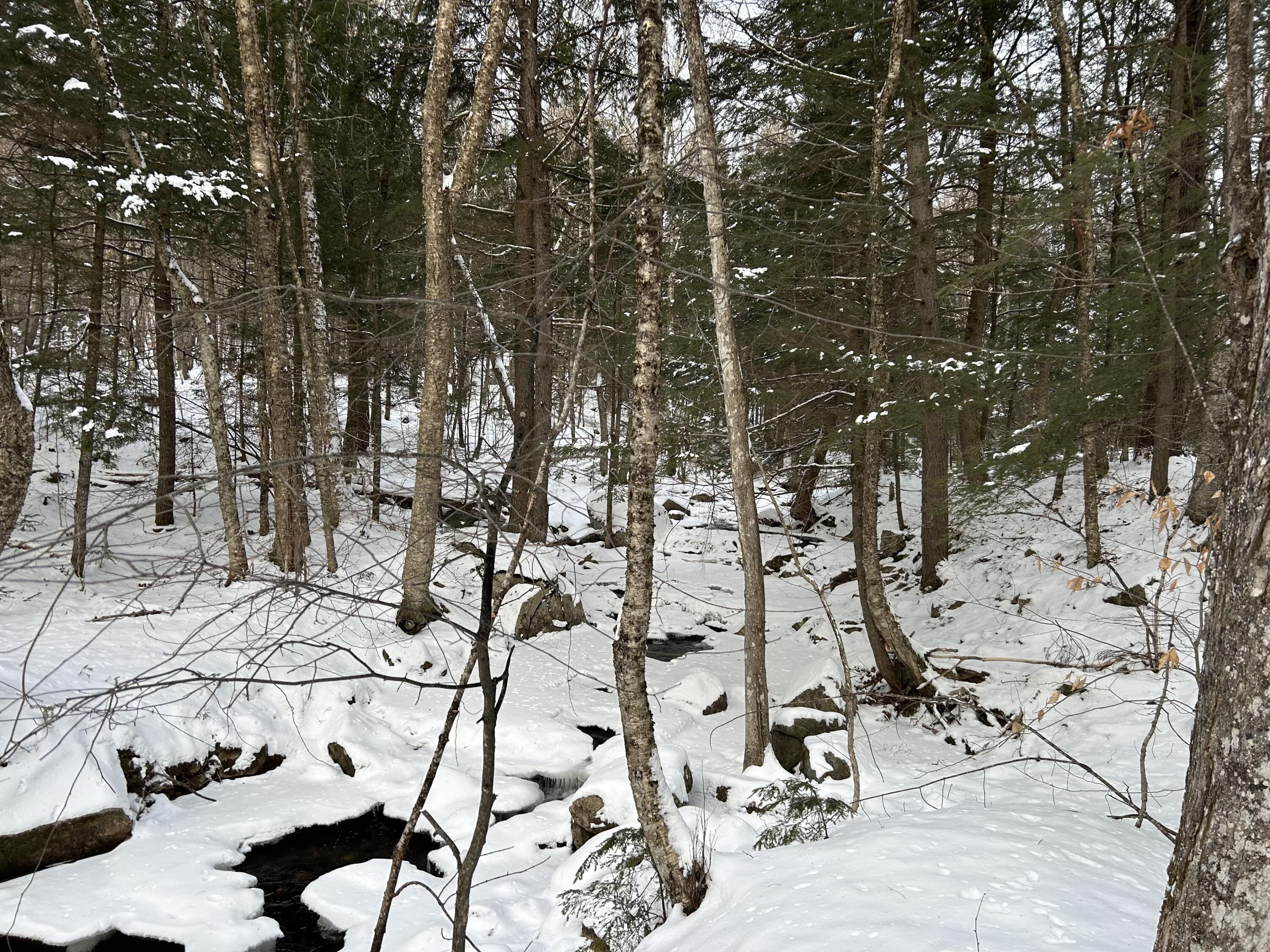 M5-l18 Bog Road New Portland, ME 04961 - Photo 16 of 22 Clark Brook