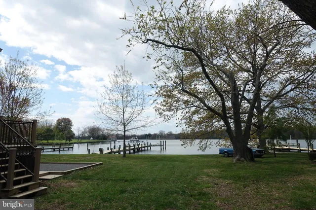 a view of grassy field with trees