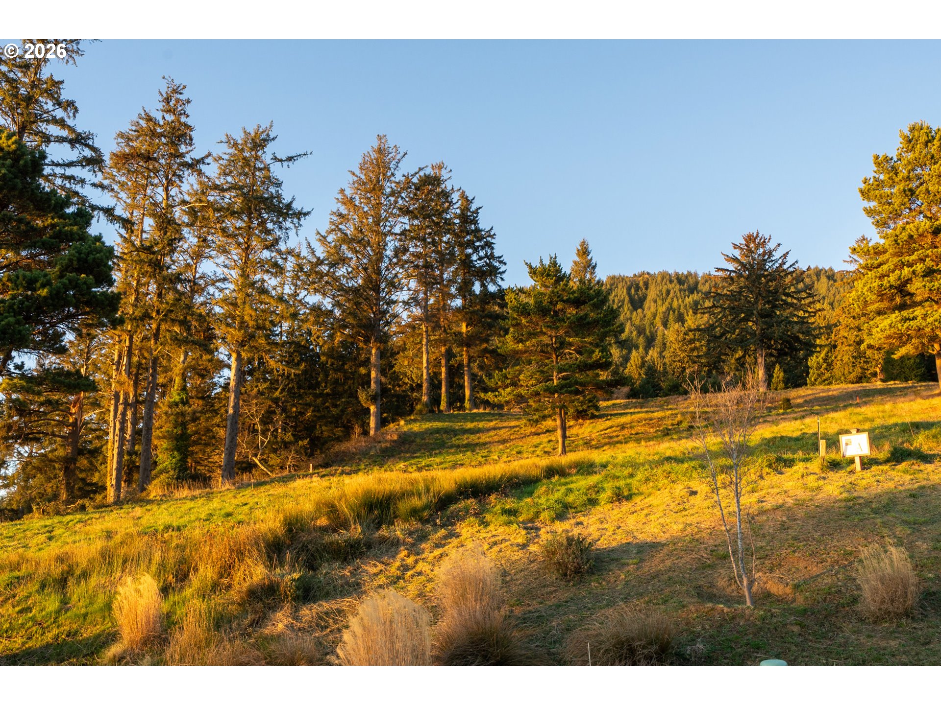 Vantage Road Nehalem, OR 97131 - Photo 21 of 25