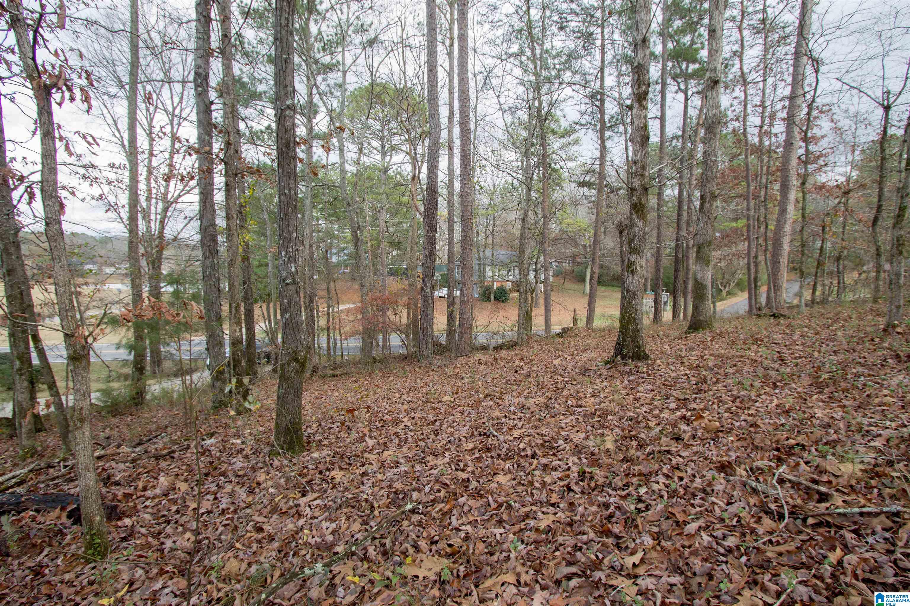 737 Murphrees Valley Road Springville, AL 35146 - Photo 46 of 48