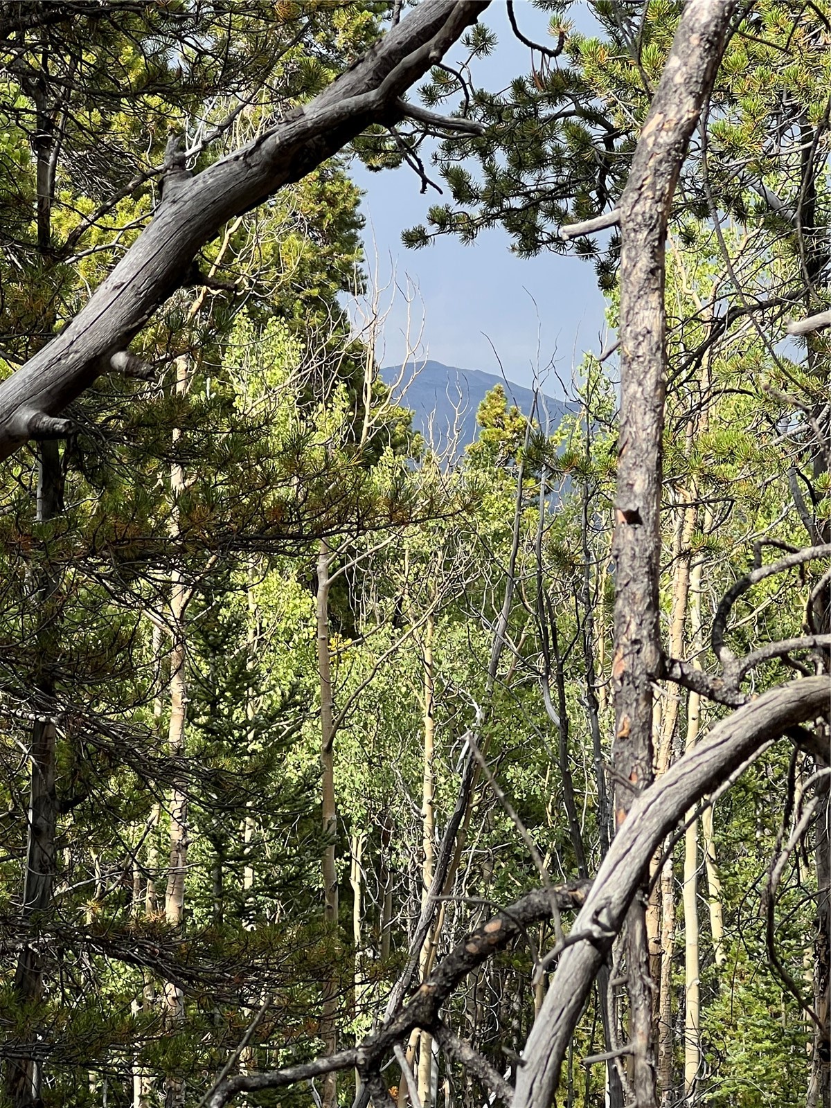 1525 Venture Road Fairplay, CO 80440 - Photo 6 of 9 Zoomed in mountain views