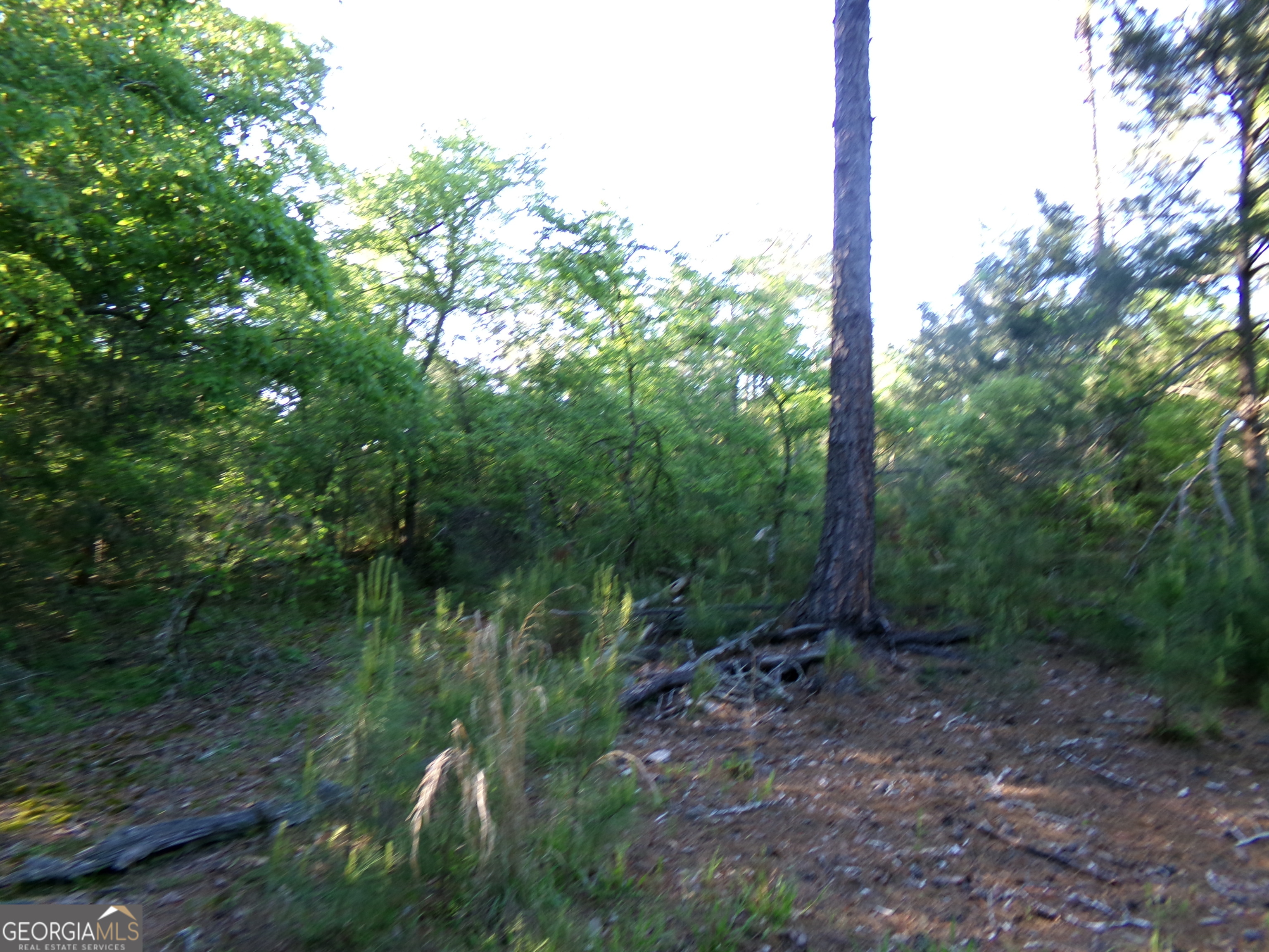 3905 Highway 138 Covington, GA 30014 - Photo 19 of 40