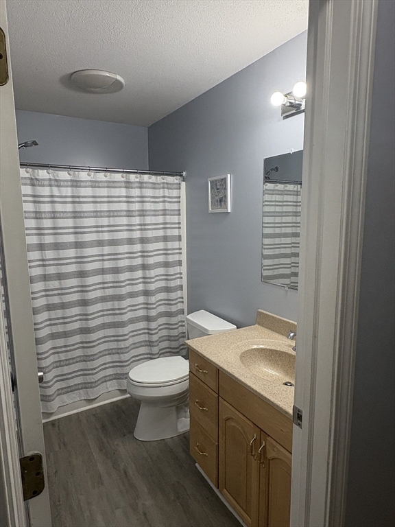 64 Wilmington Avenue Springfield, MA 01119 - Photo 17 of 29 a bathroom with a granite countertop toilet a sink a mirror and a shower curtain