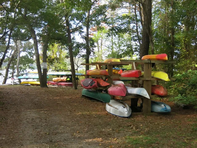 a childrens park with lots of swings and slides