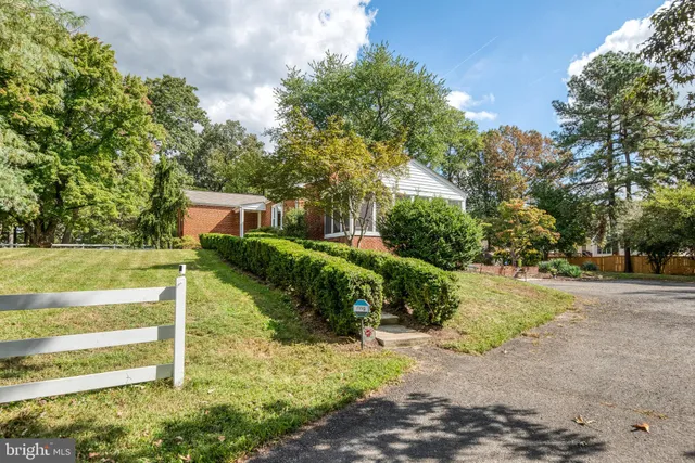 a view of yard with tree