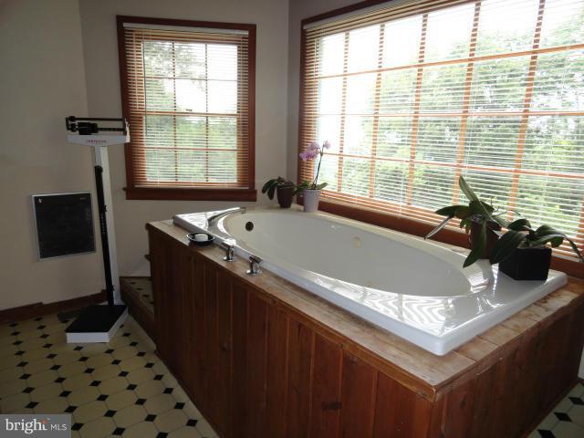 238 Forest Ridge Lane Bluemont, VA 20135 - Photo 14 of 29 Bath (Master)
