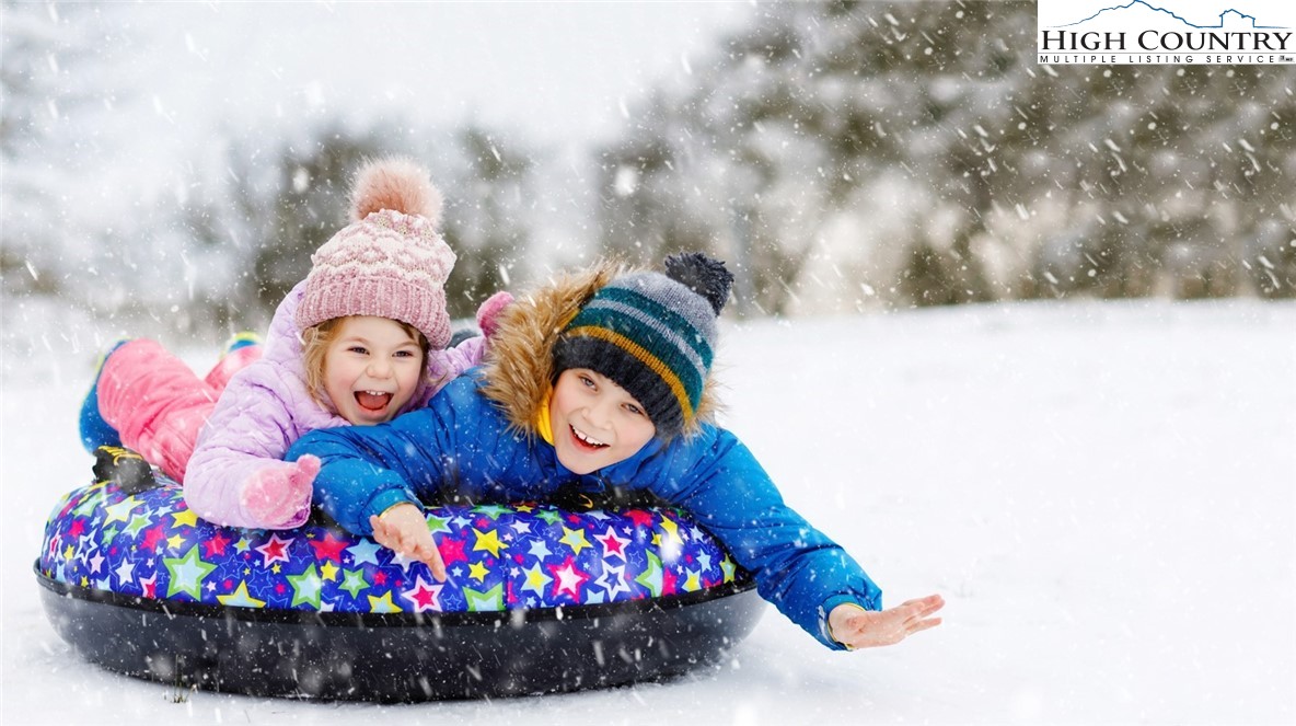 419 Snow Cloud Drive Banner Elk, NC 28604 - Photo 29 of 34