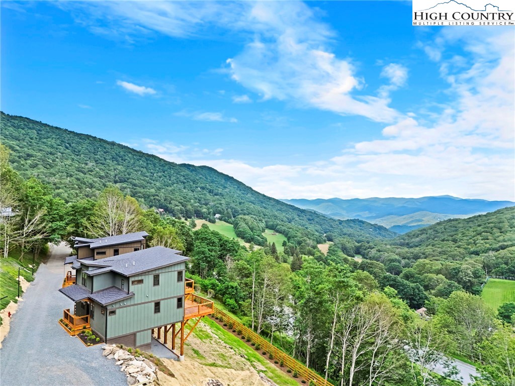 419 Snow Cloud Drive Banner Elk, NC 28604 - Photo 4 of 34