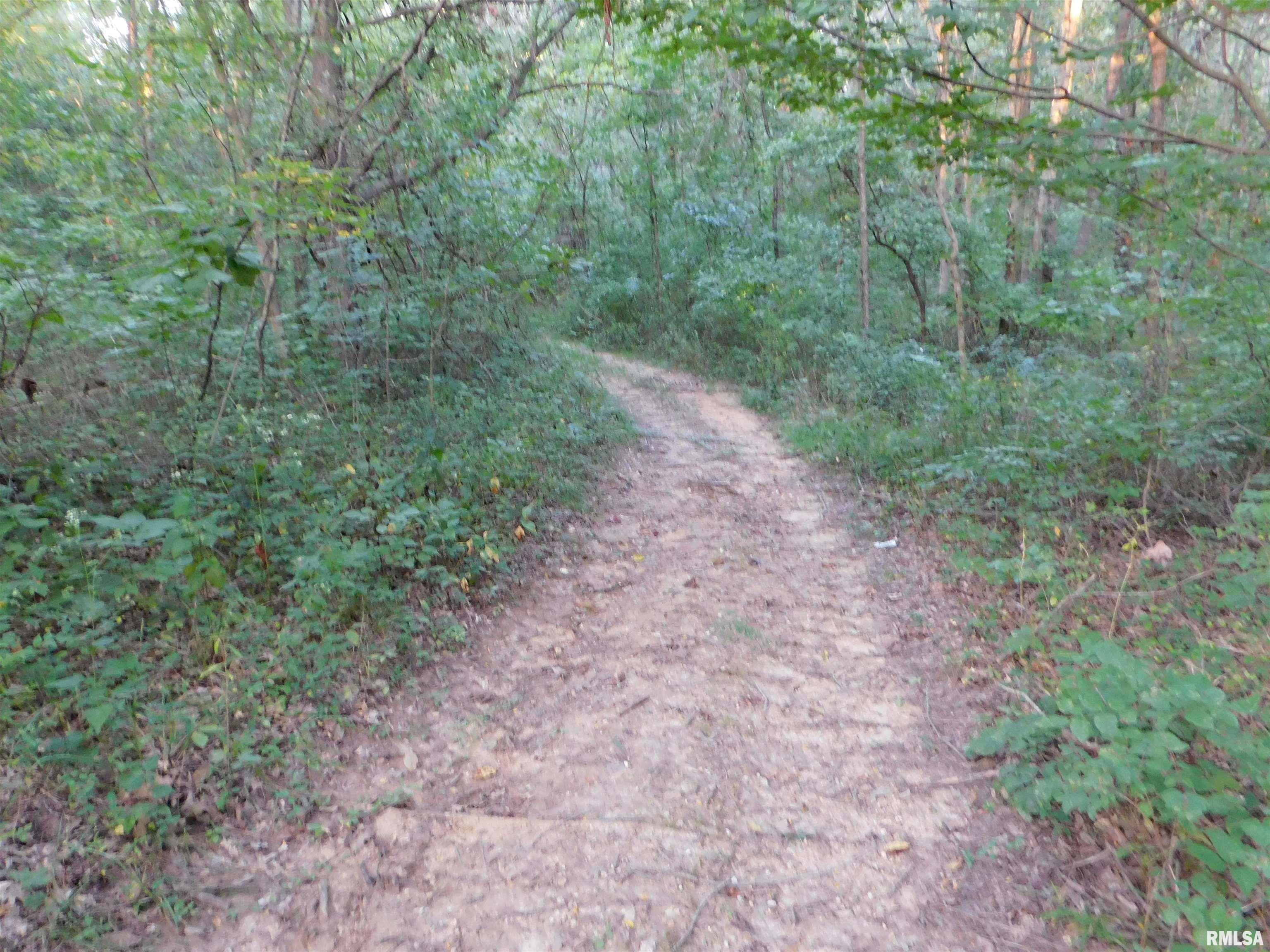 4026 Waggoner Road Iuka, IL 62849 - Photo 14 of 26