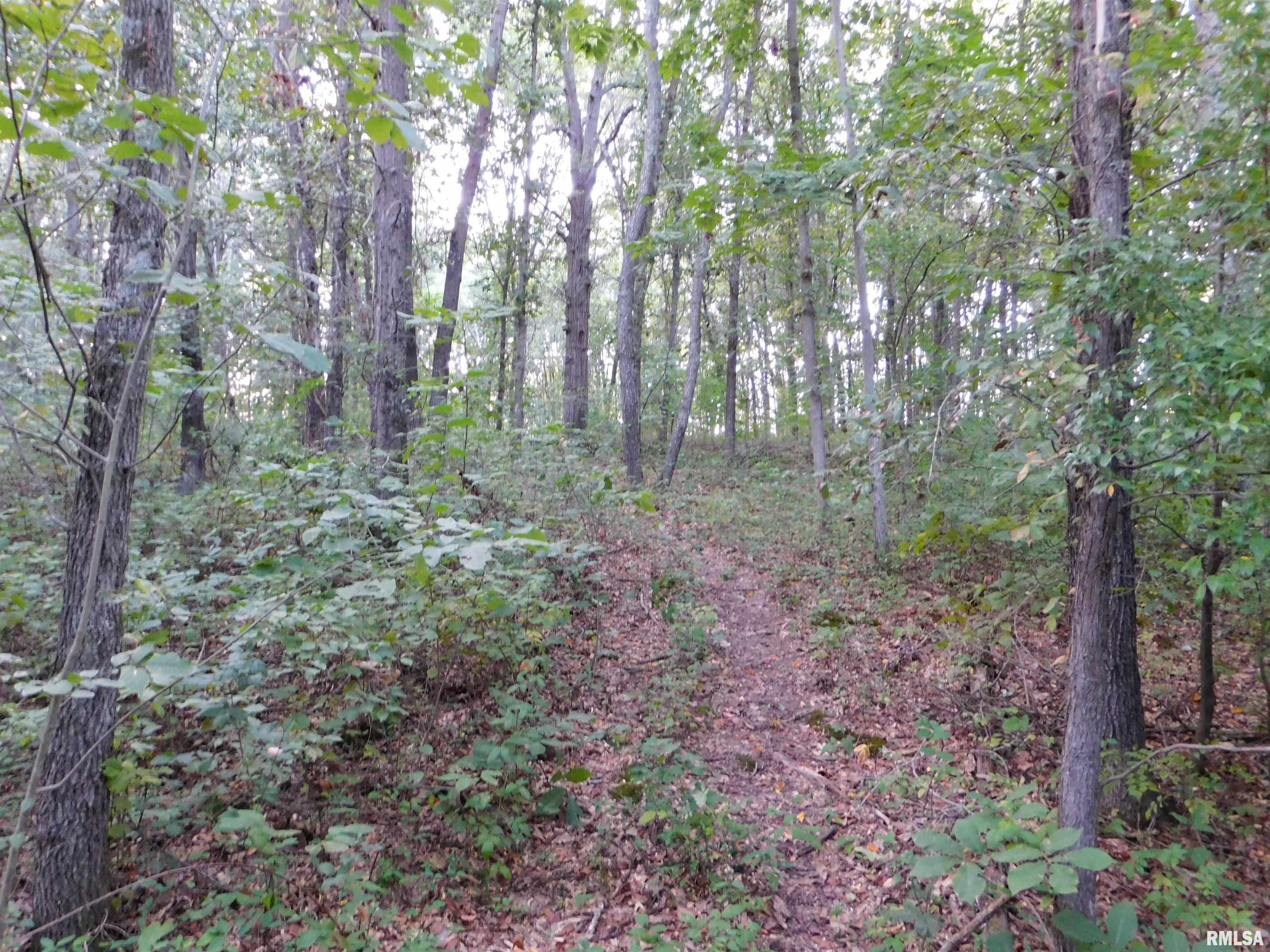 4026 Waggoner Road Iuka, IL 62849 - Photo 15 of 26