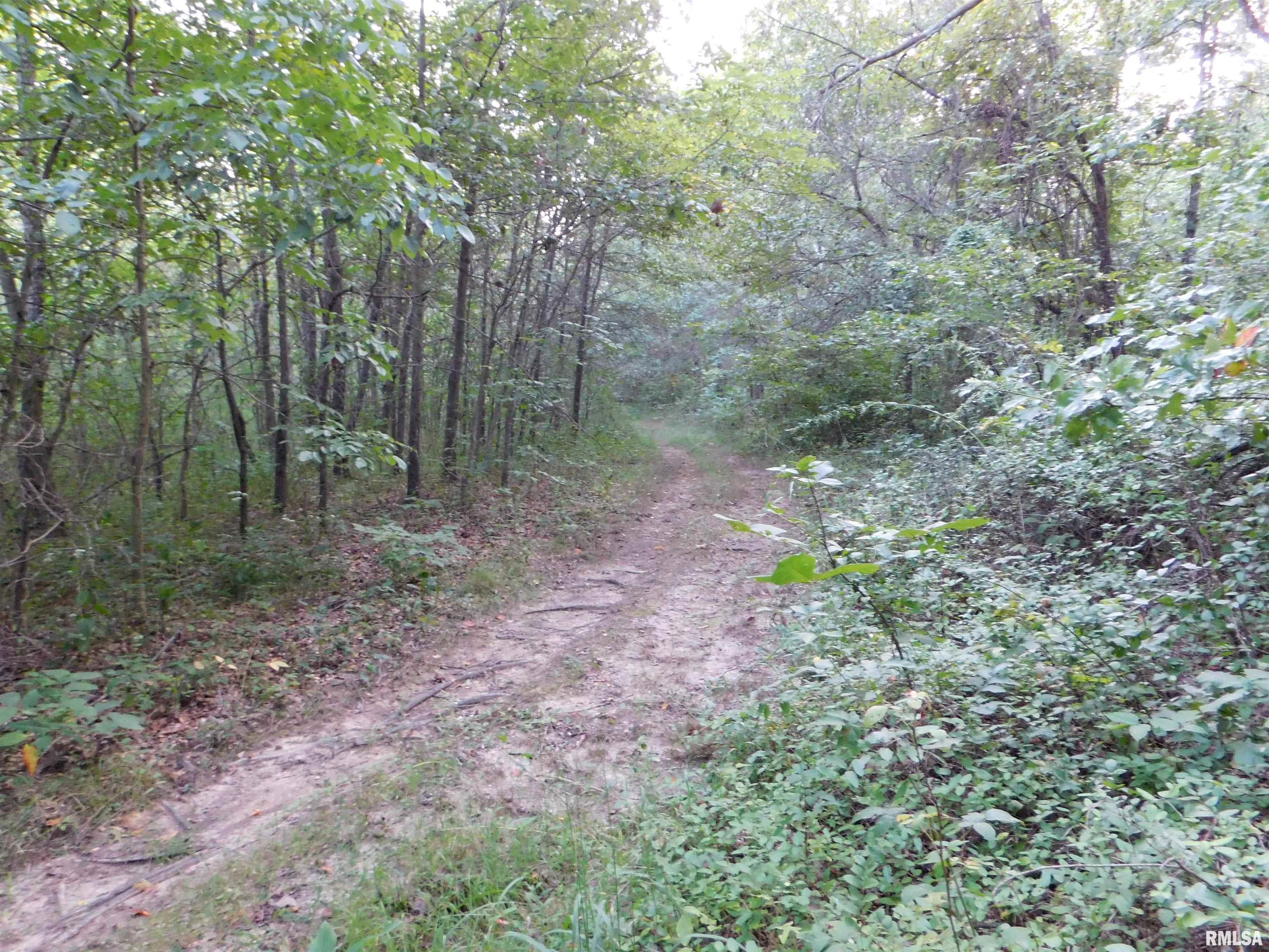 4026 Waggoner Road Iuka, IL 62849 - Photo 16 of 26