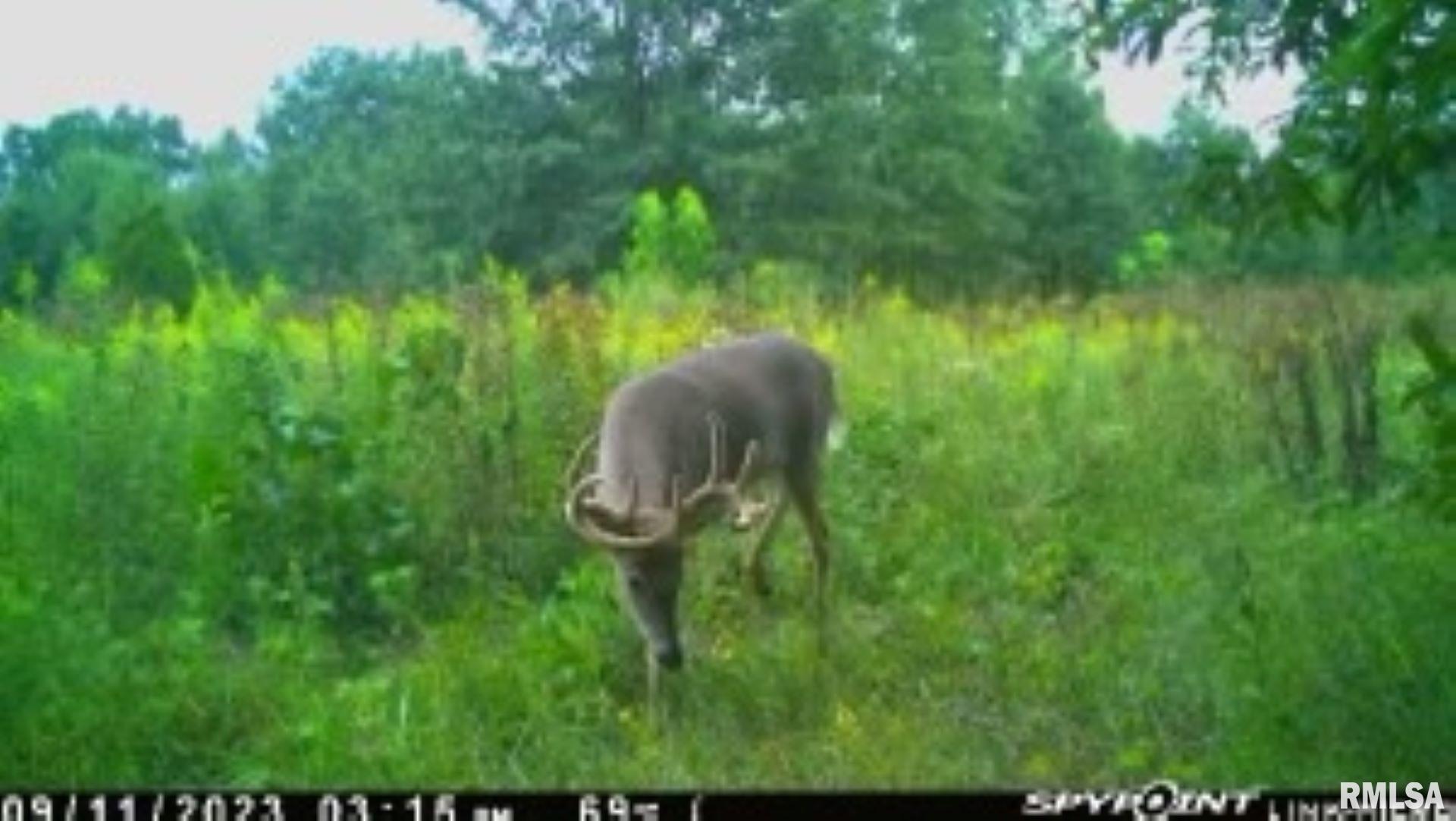 4026 Waggoner Road Iuka, IL 62849 - Photo 18 of 26