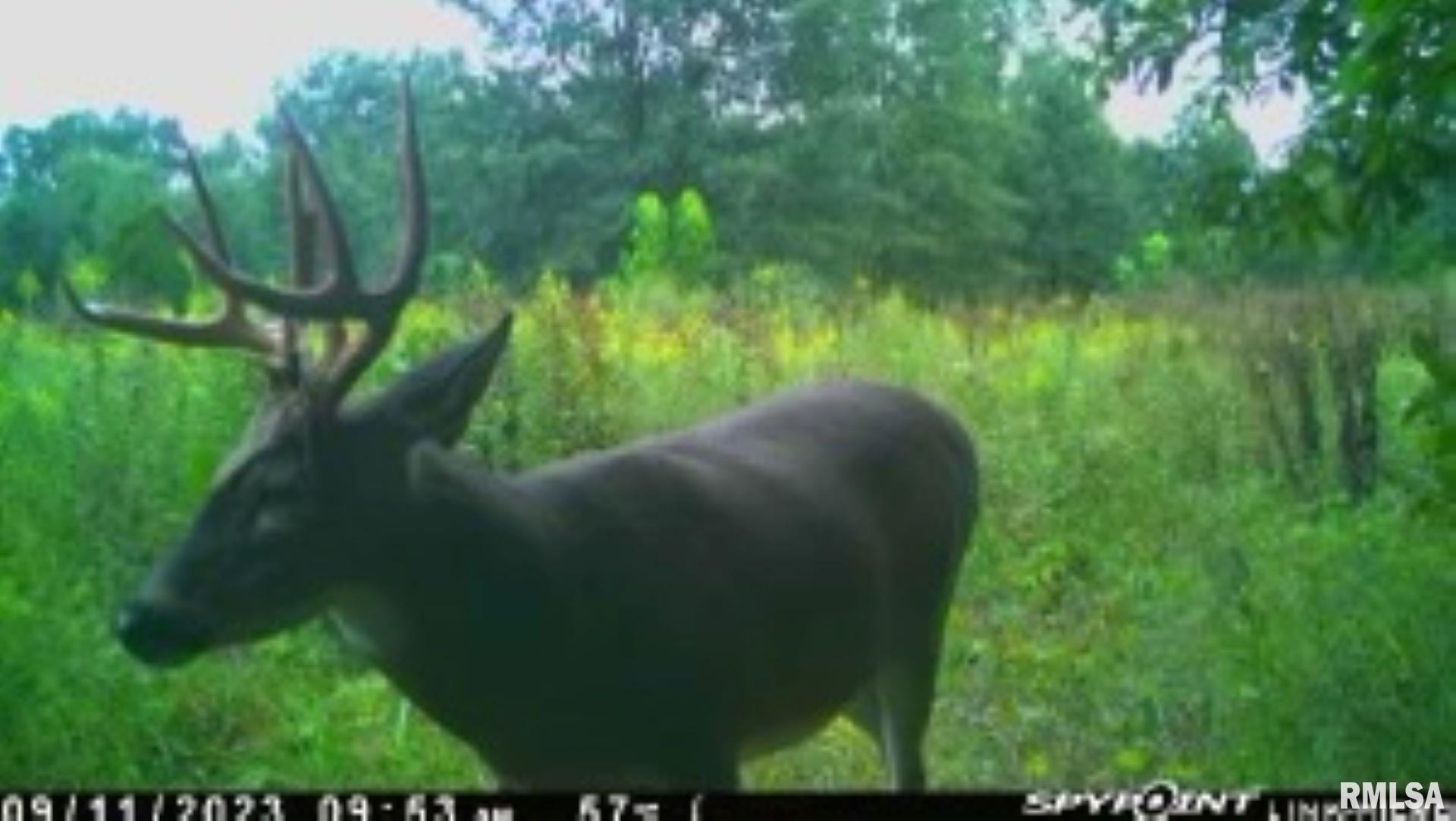 4026 Waggoner Road Iuka, IL 62849 - Photo 19 of 26