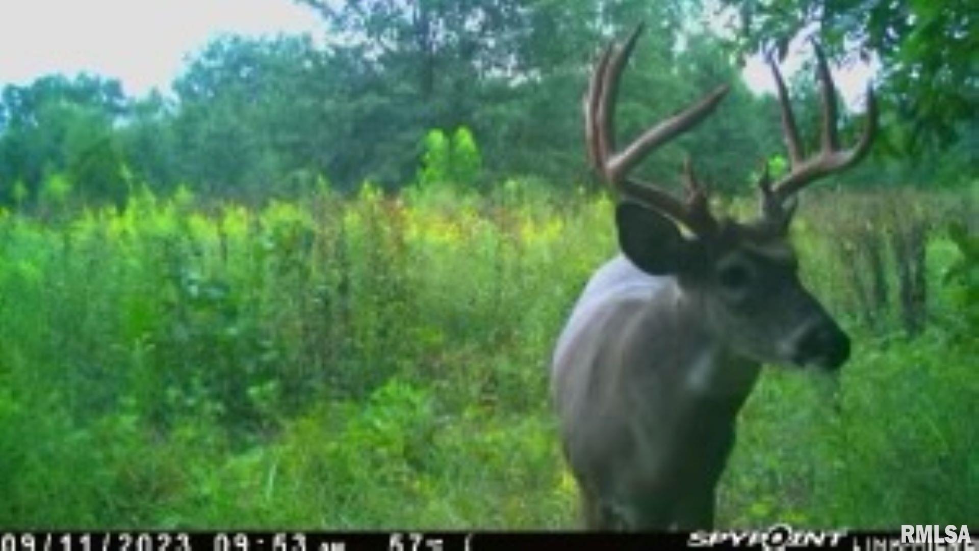 4026 Waggoner Road Iuka, IL 62849 - Photo 20 of 26