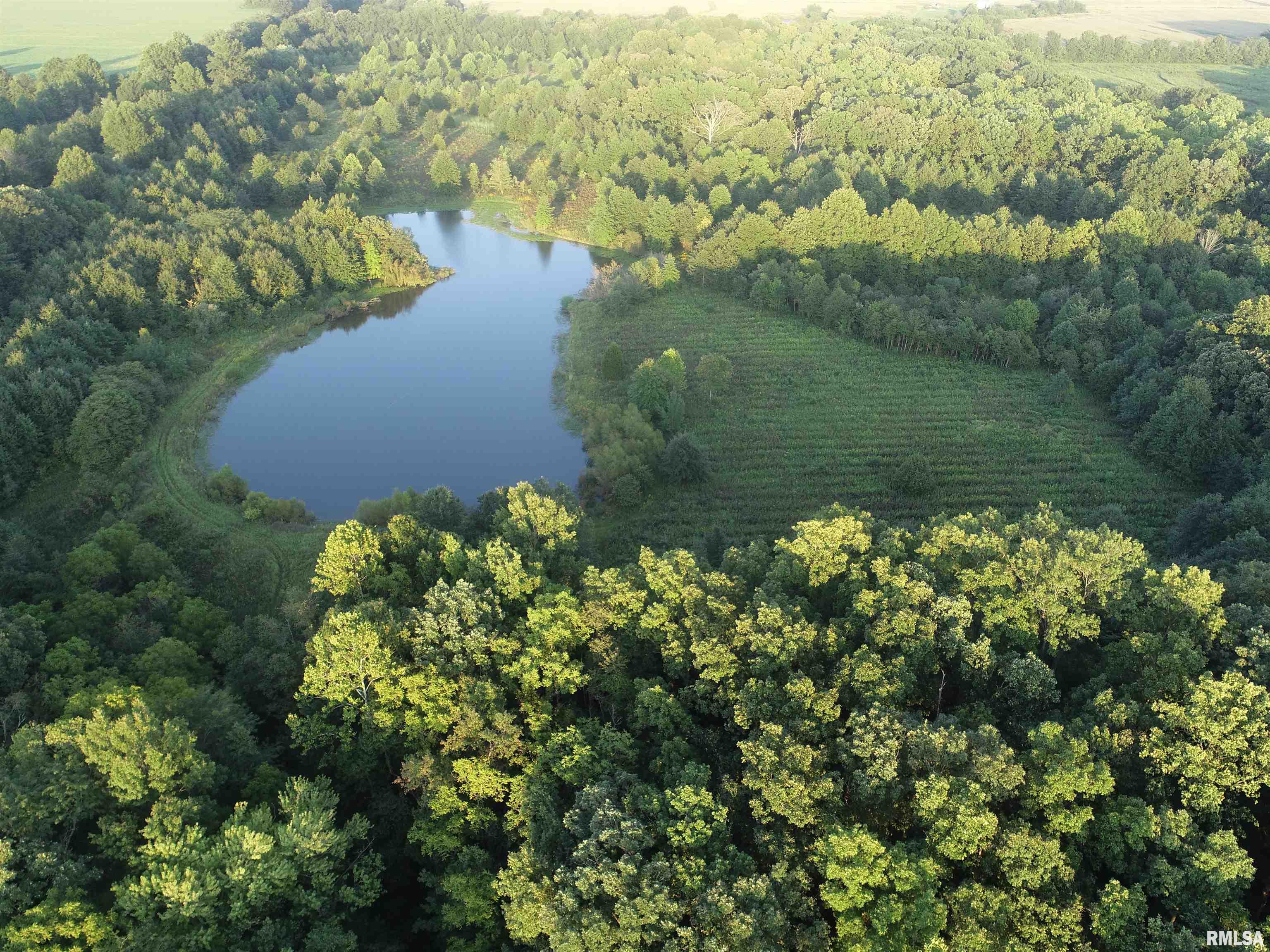 4026 Waggoner Road Iuka, IL 62849 - Photo 2 of 26