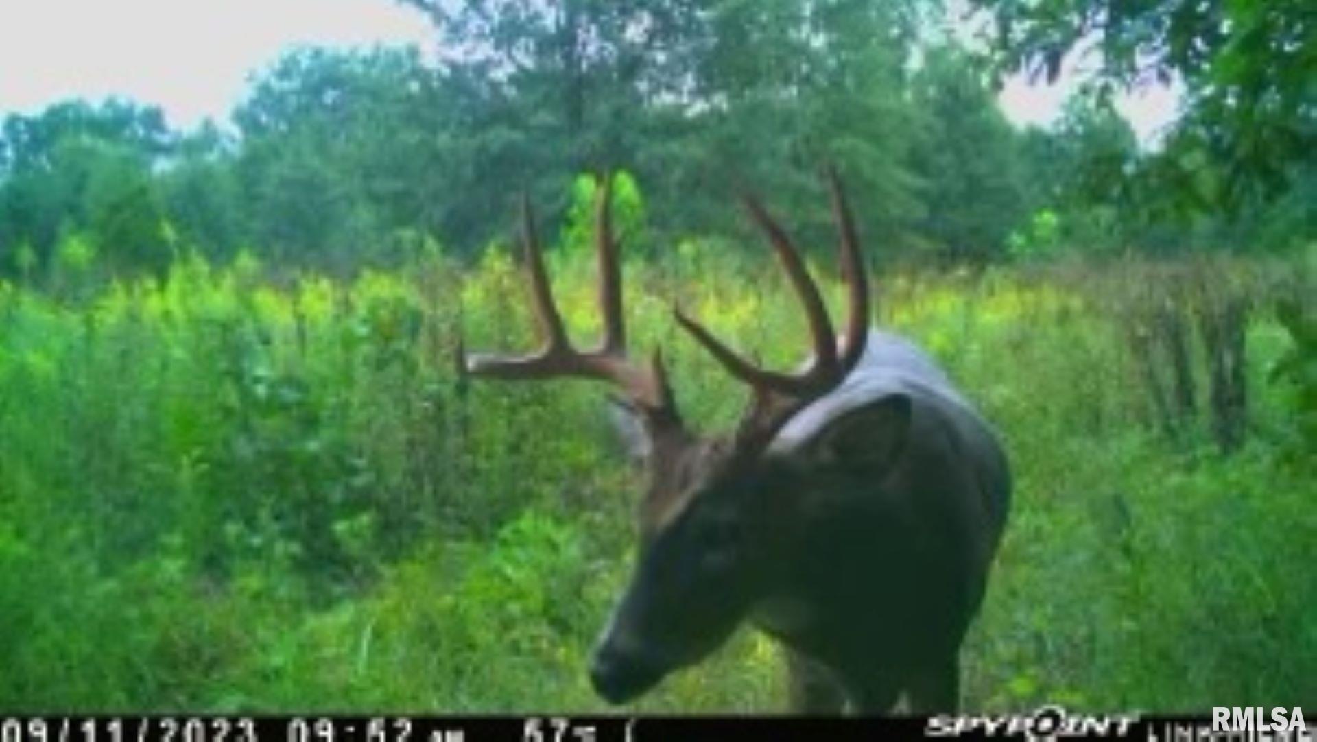 4026 Waggoner Road Iuka, IL 62849 - Photo 21 of 26