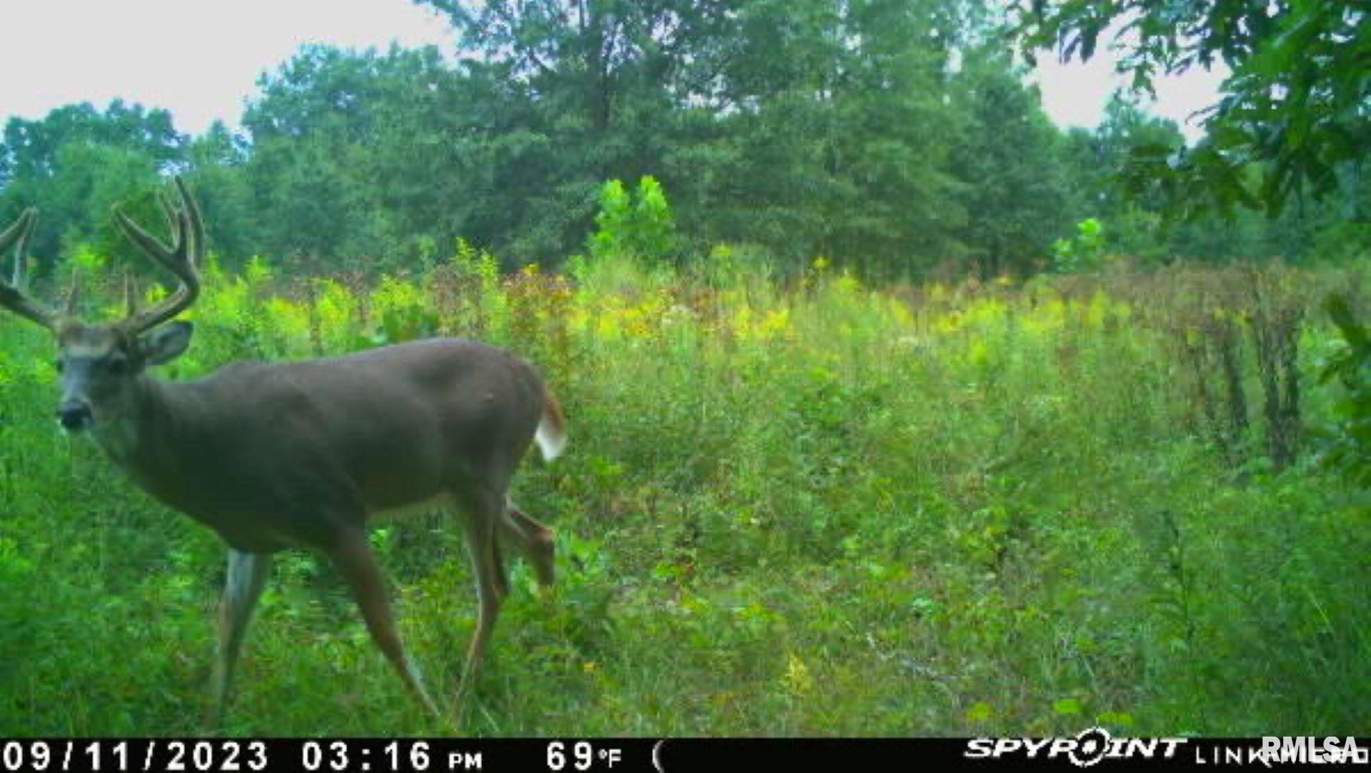 4026 Waggoner Road Iuka, IL 62849 - Photo 22 of 26