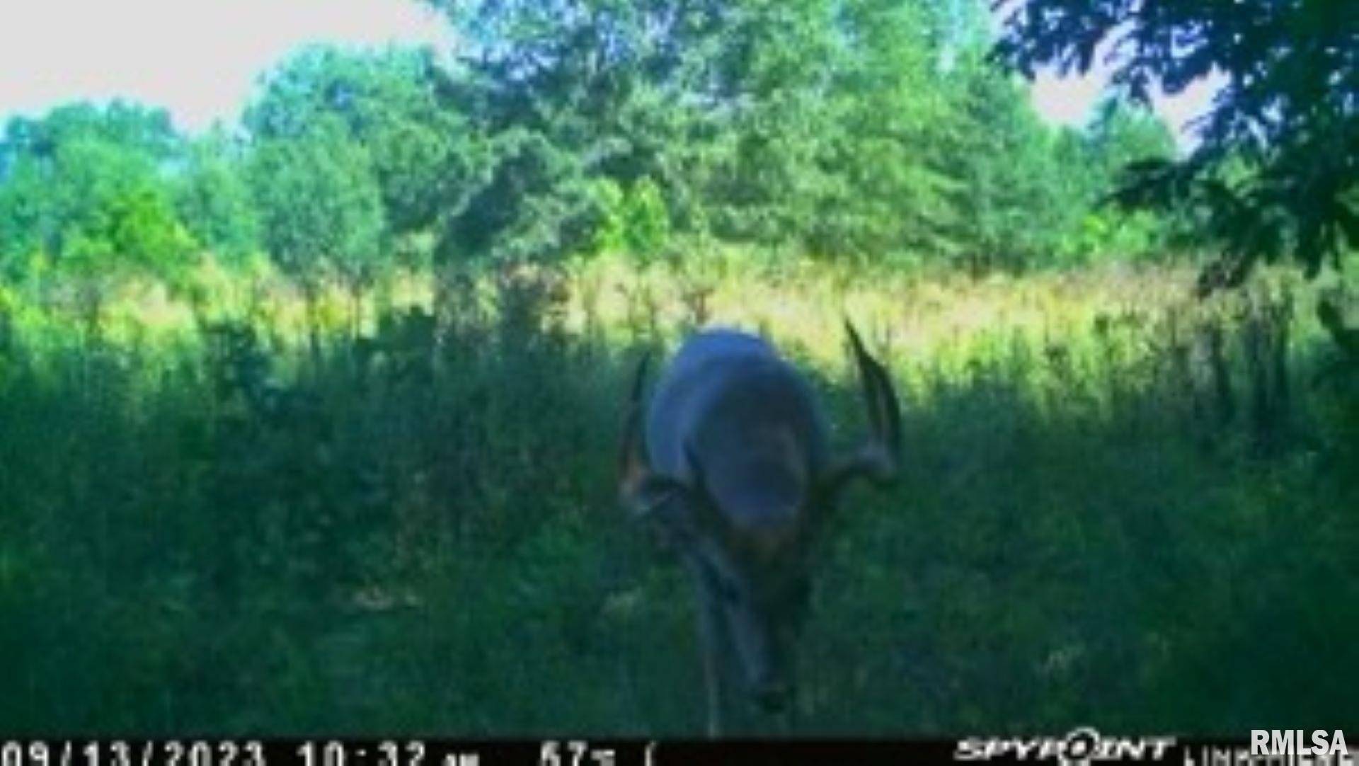 4026 Waggoner Road Iuka, IL 62849 - Photo 23 of 26