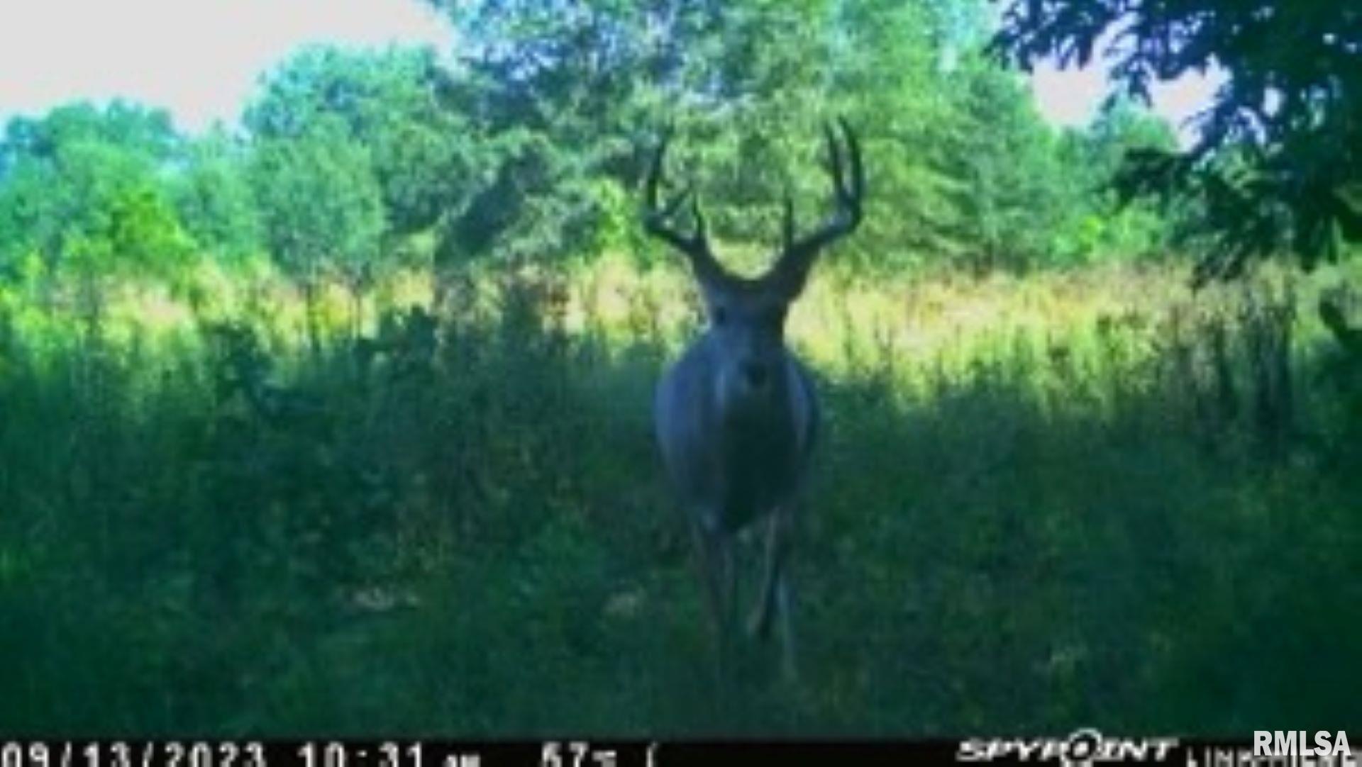 4026 Waggoner Road Iuka, IL 62849 - Photo 24 of 26