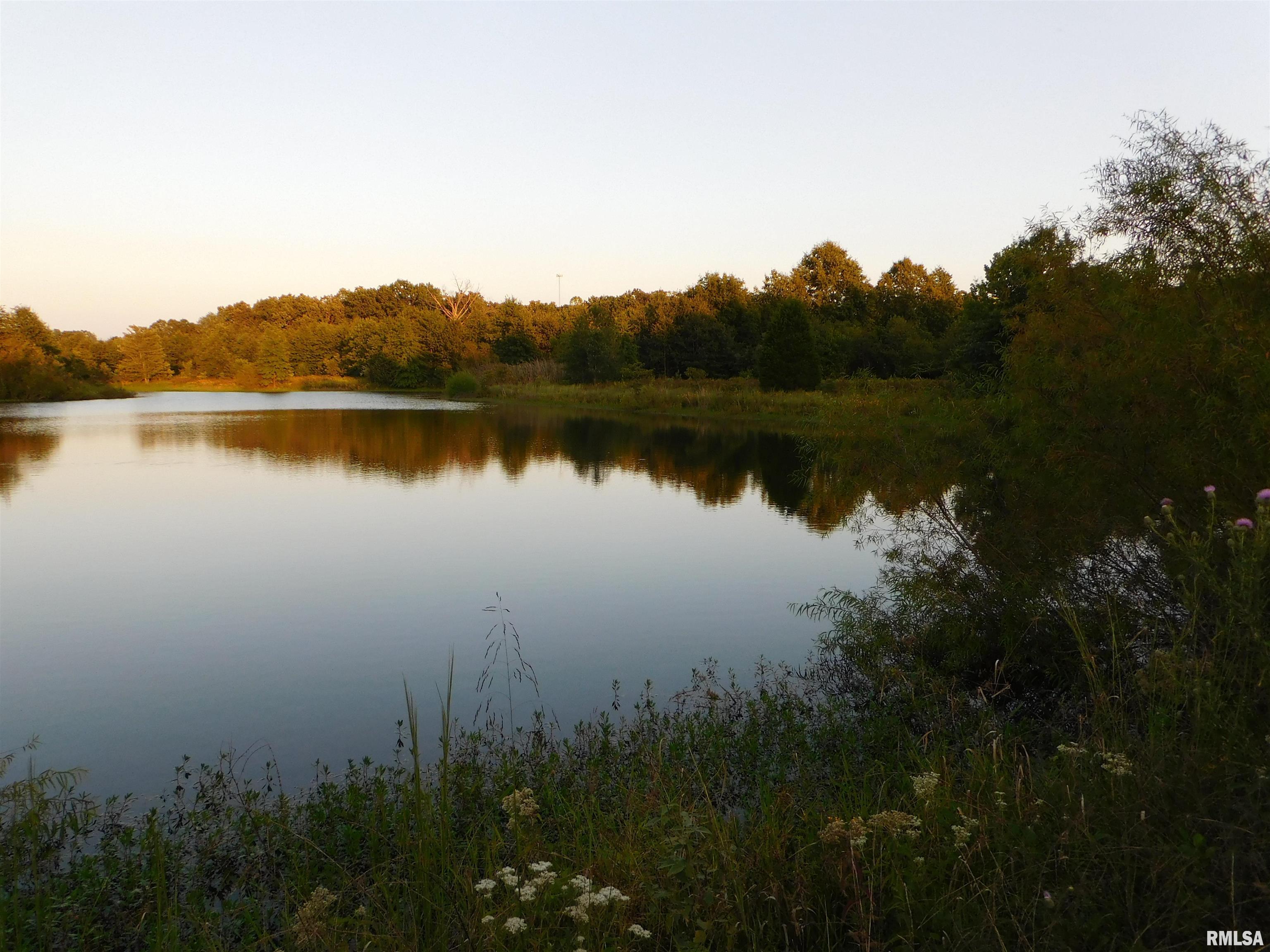4026 Waggoner Road Iuka, IL 62849 - Photo 25 of 26