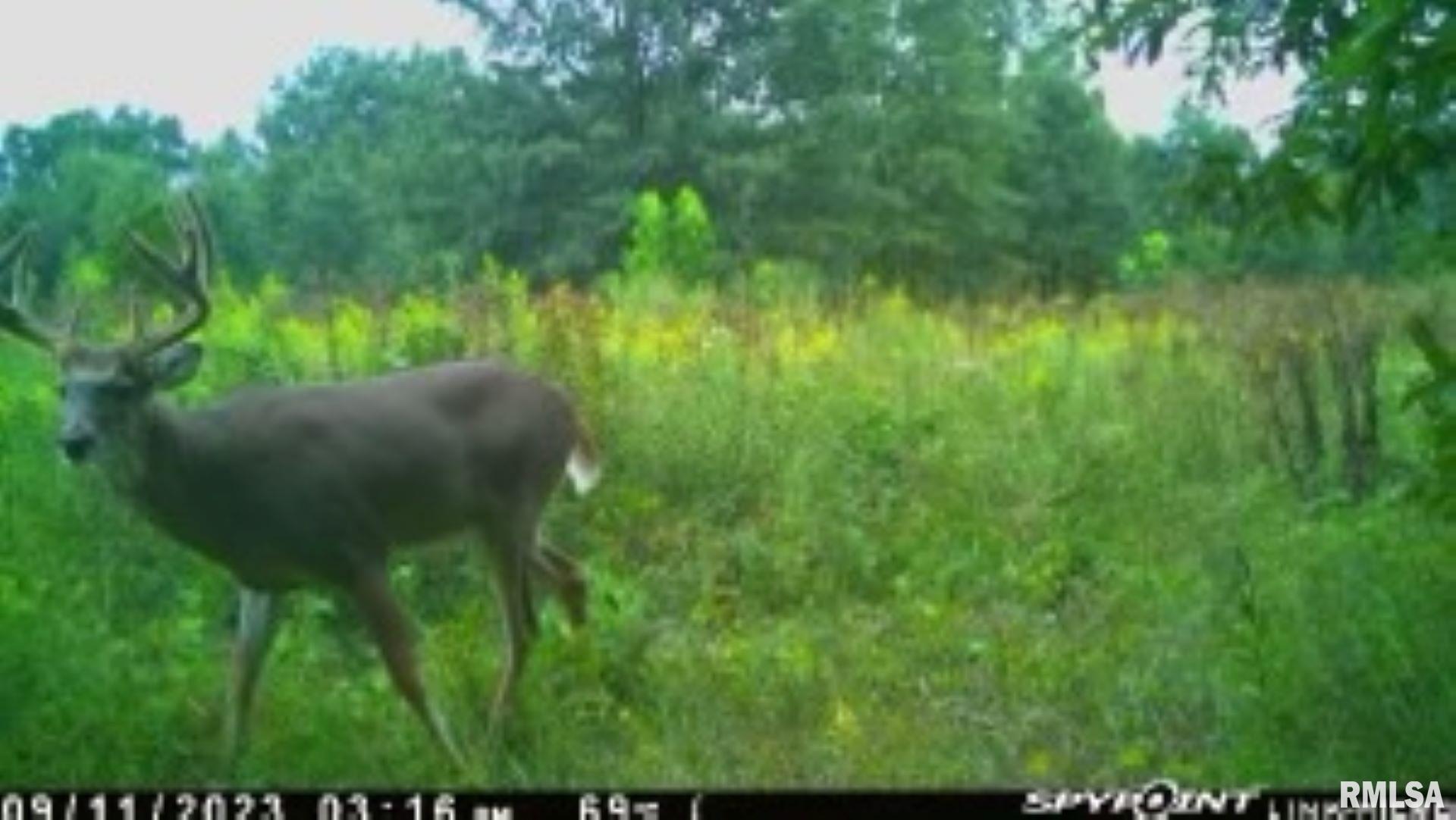 4026 Waggoner Road Iuka, IL 62849 - Photo 26 of 26