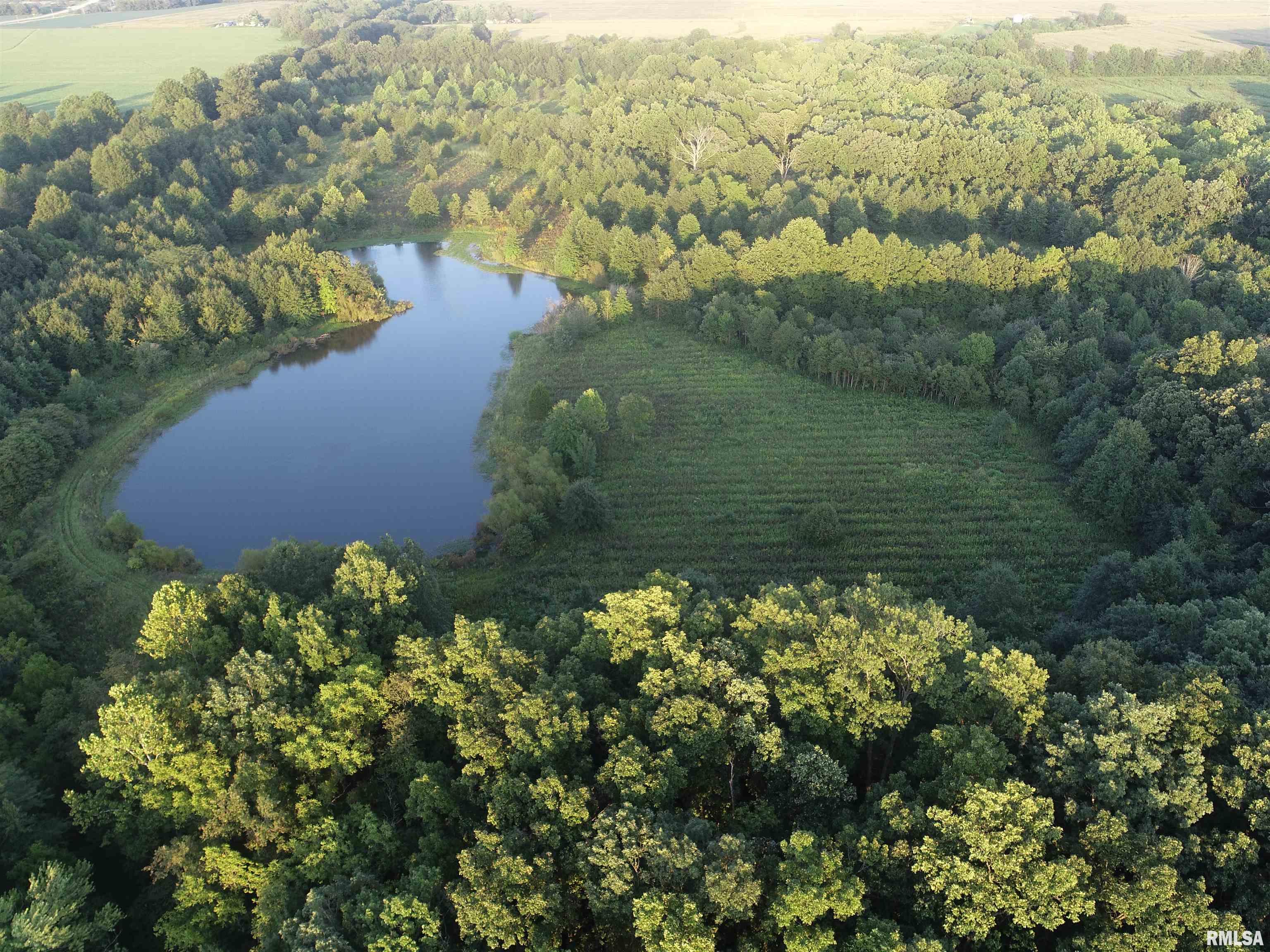 4026 Waggoner Road Iuka, IL 62849 - Photo 3 of 26