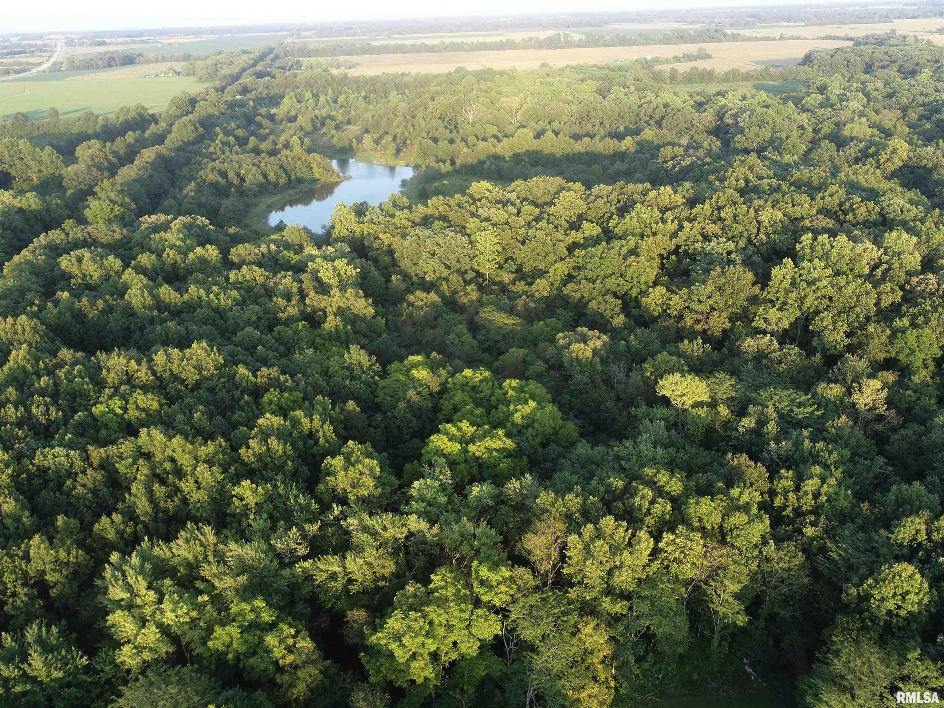 4026 Waggoner Road Iuka, IL 62849 - Photo 4 of 26