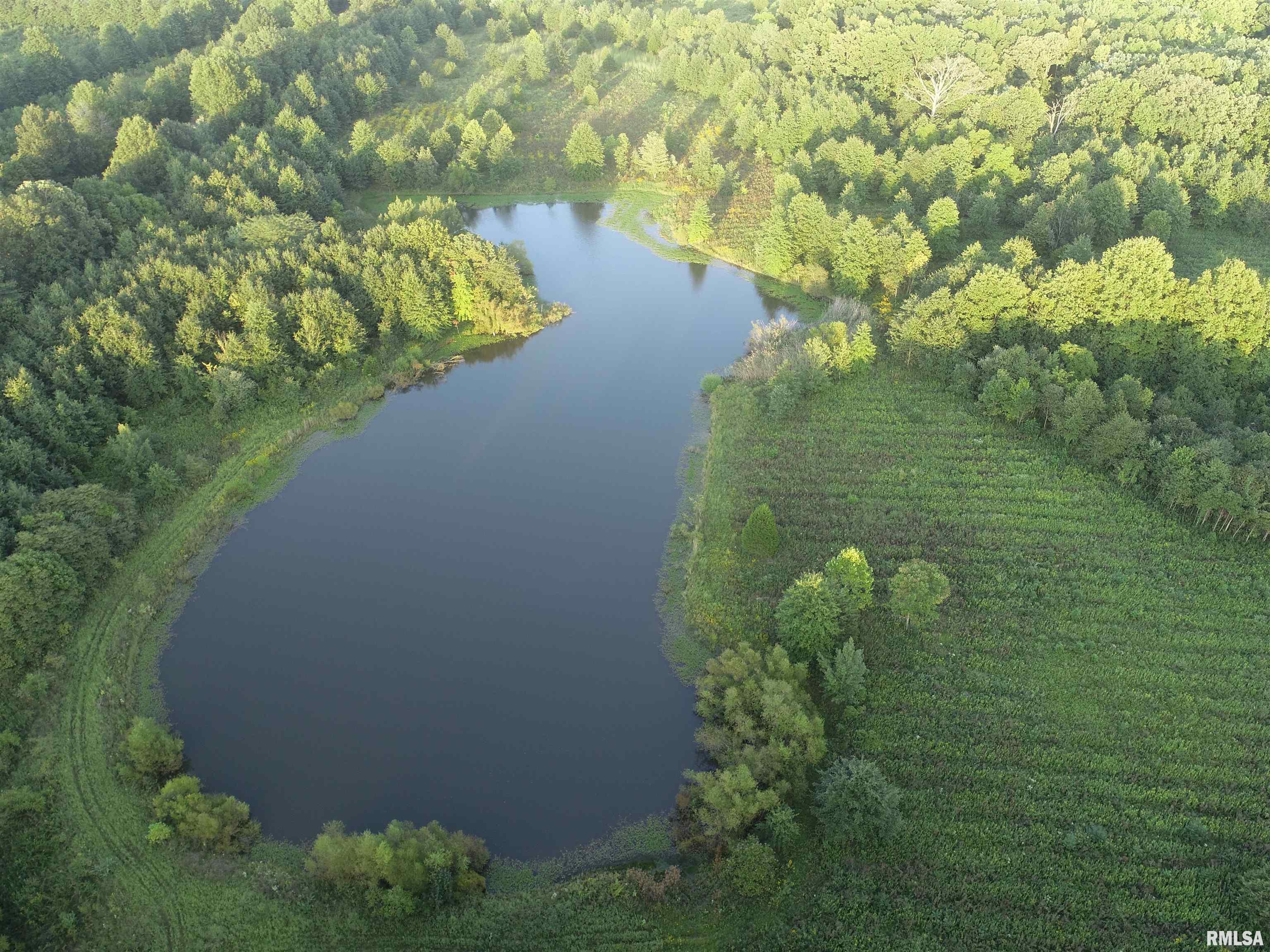 4026 Waggoner Road Iuka, IL 62849 - Photo 5 of 26