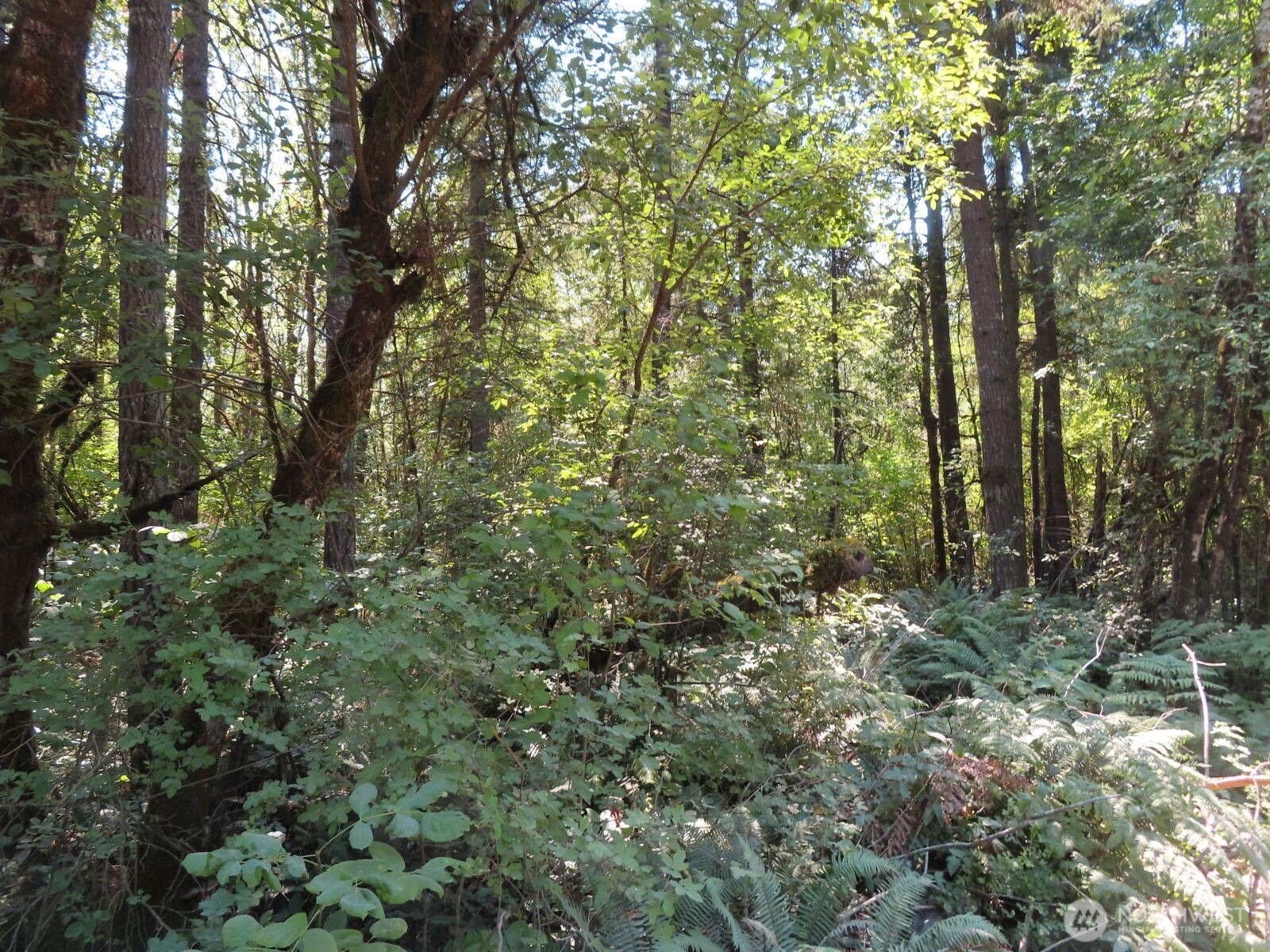 -xxx Del Ray Road Mossyrock, WA 98564 - Photo 24 of 25