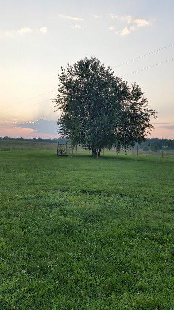 229 Sims Pike Georgetown, KY 40324 - Photo 2 of 10 Photo 2