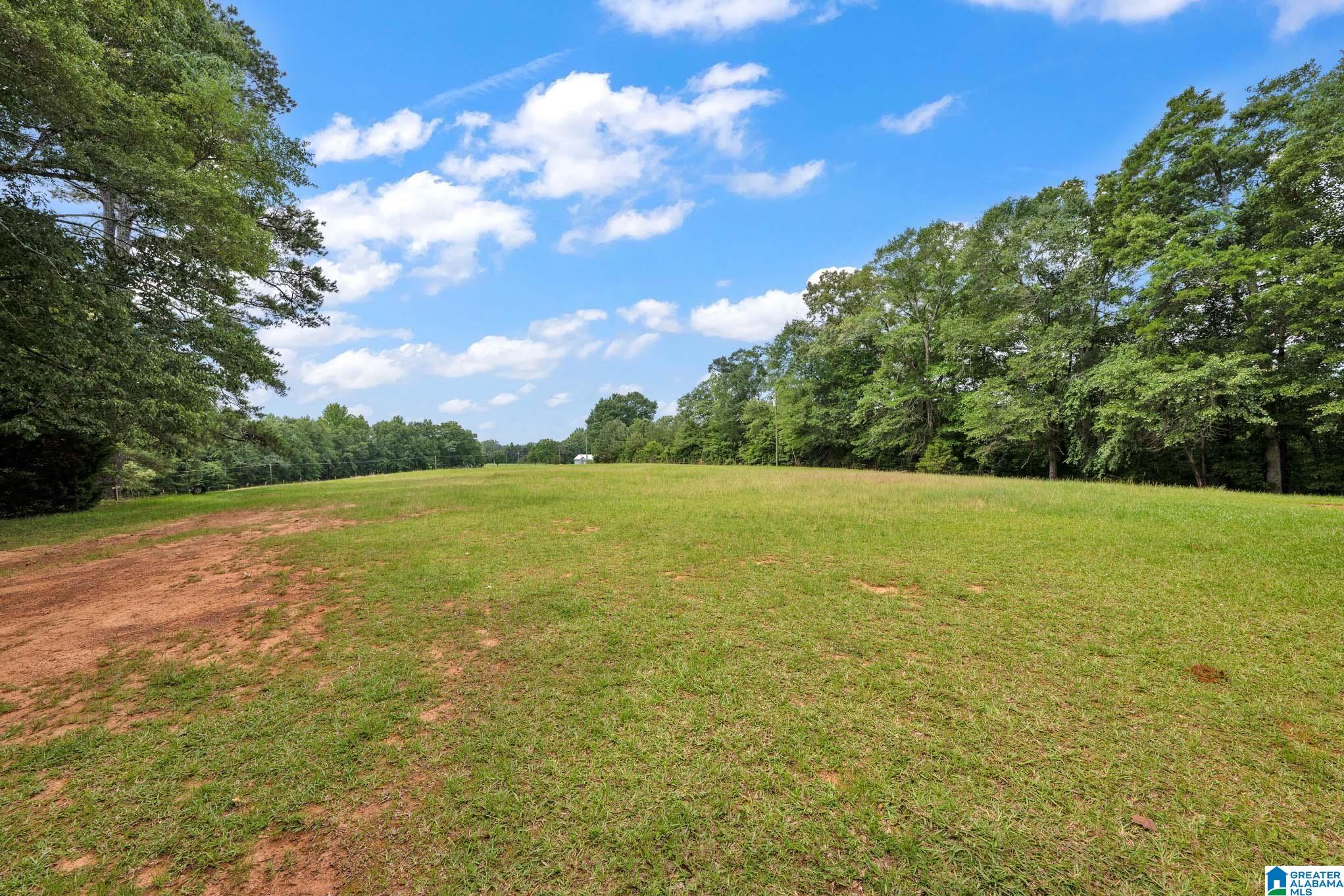 15920 Highway 160 Cleveland, AL 35049 - Photo 31 of 57