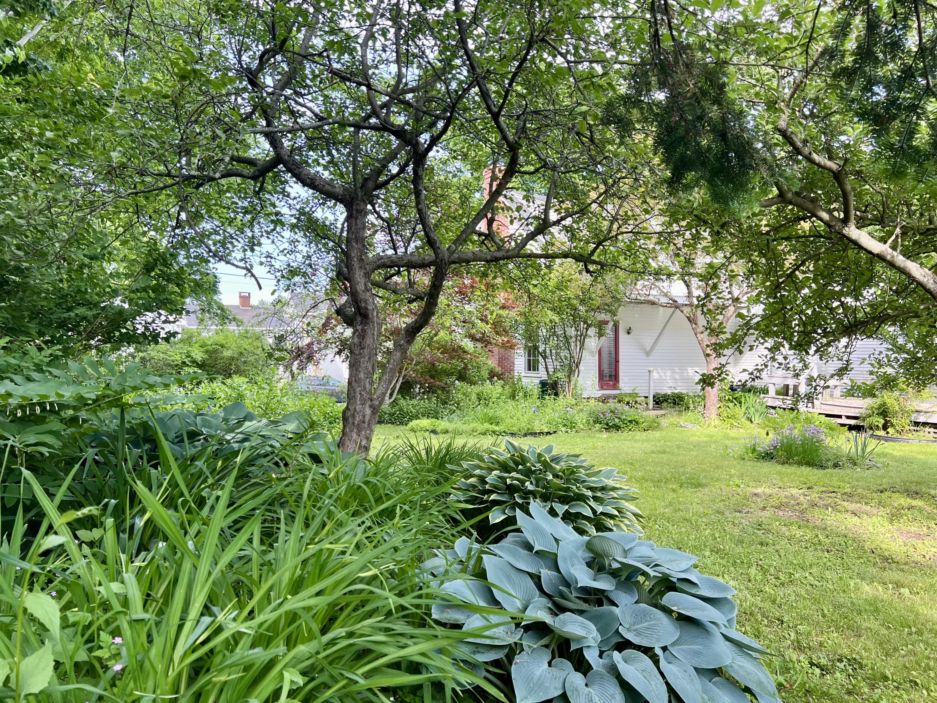 59 Cedar Street Belfast, ME 04915 - Photo 79 of 92 IMG_9287