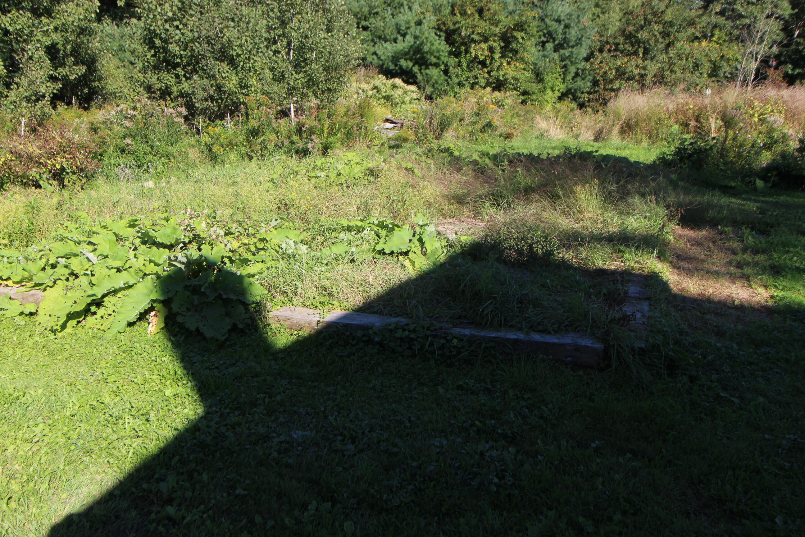 838 Castine Road Orland, ME 04472 - Photo 42 of 54 IMG_9432