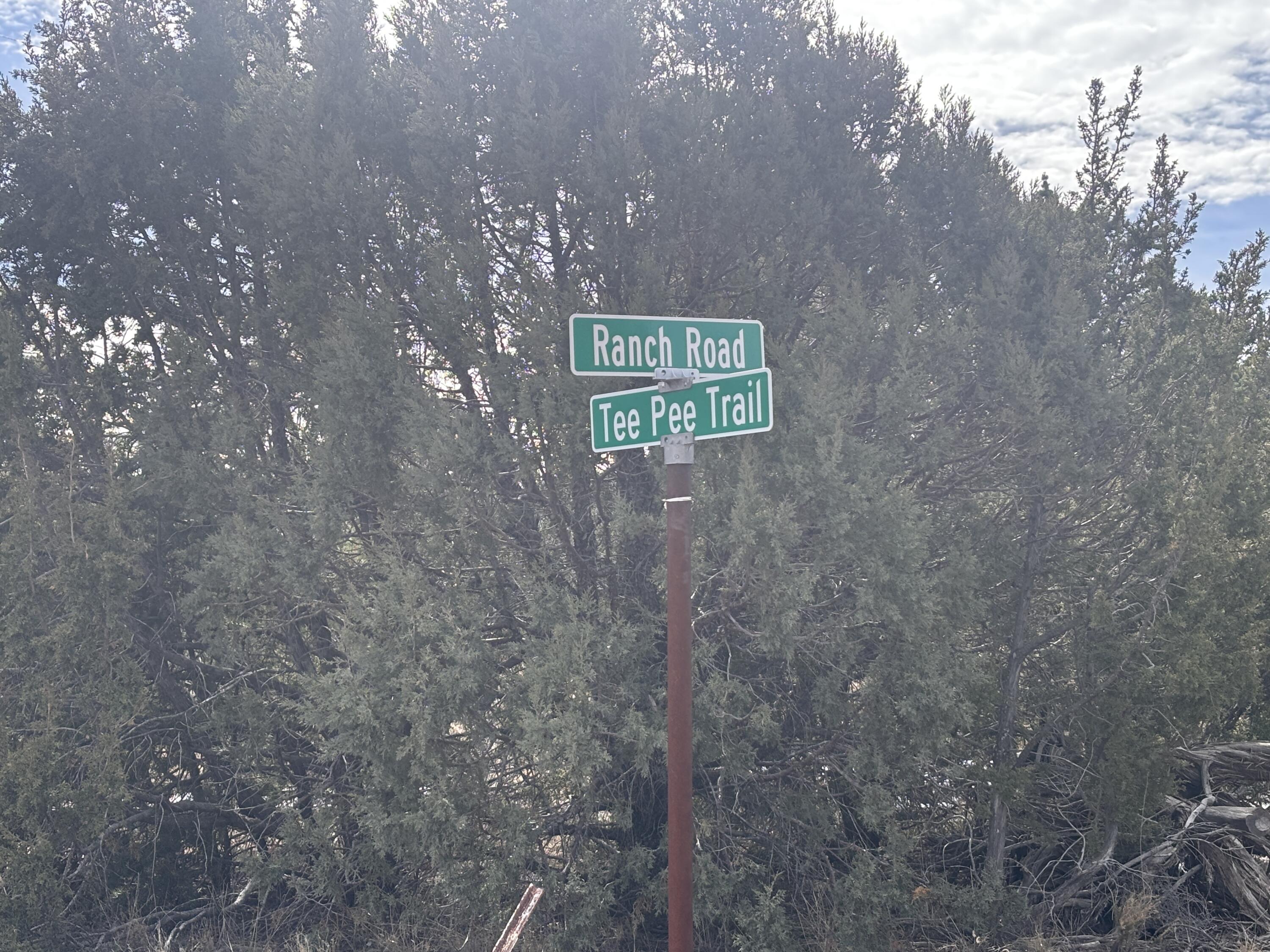 227 Tee Pee Trail Datil, NM 87821 - Photo 42 of 42 Gallery Image 42