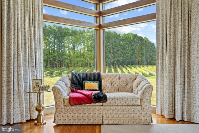 a spacious bedroom with a large bed couch and a window
