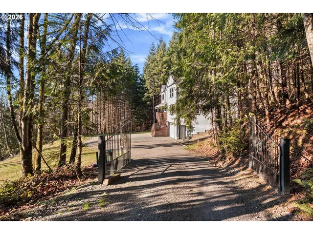 a view of park with tree in the background