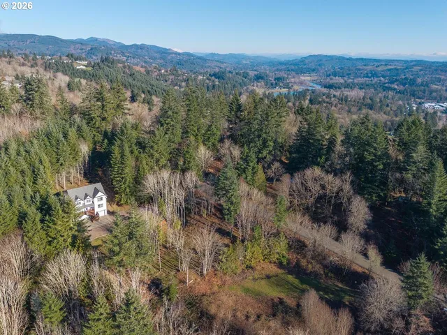 an aerial view of green landscape with trees houses and mountain view