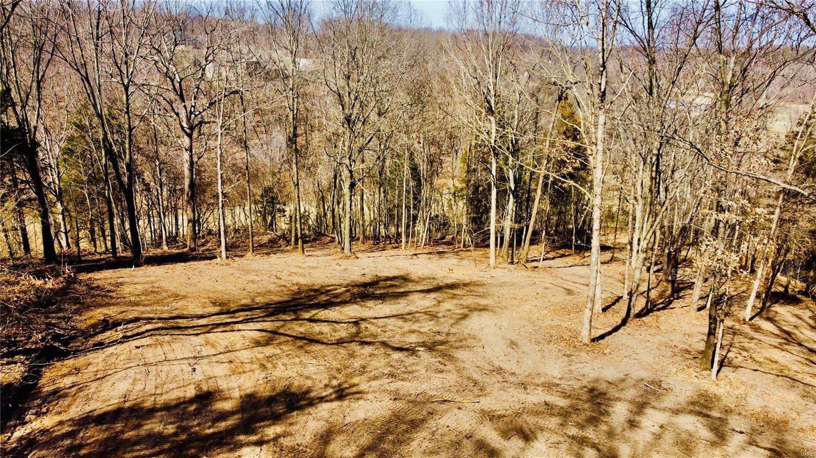 747 Heatherstone Drive High Ridge, MO 63049 - Photo 5 of 9