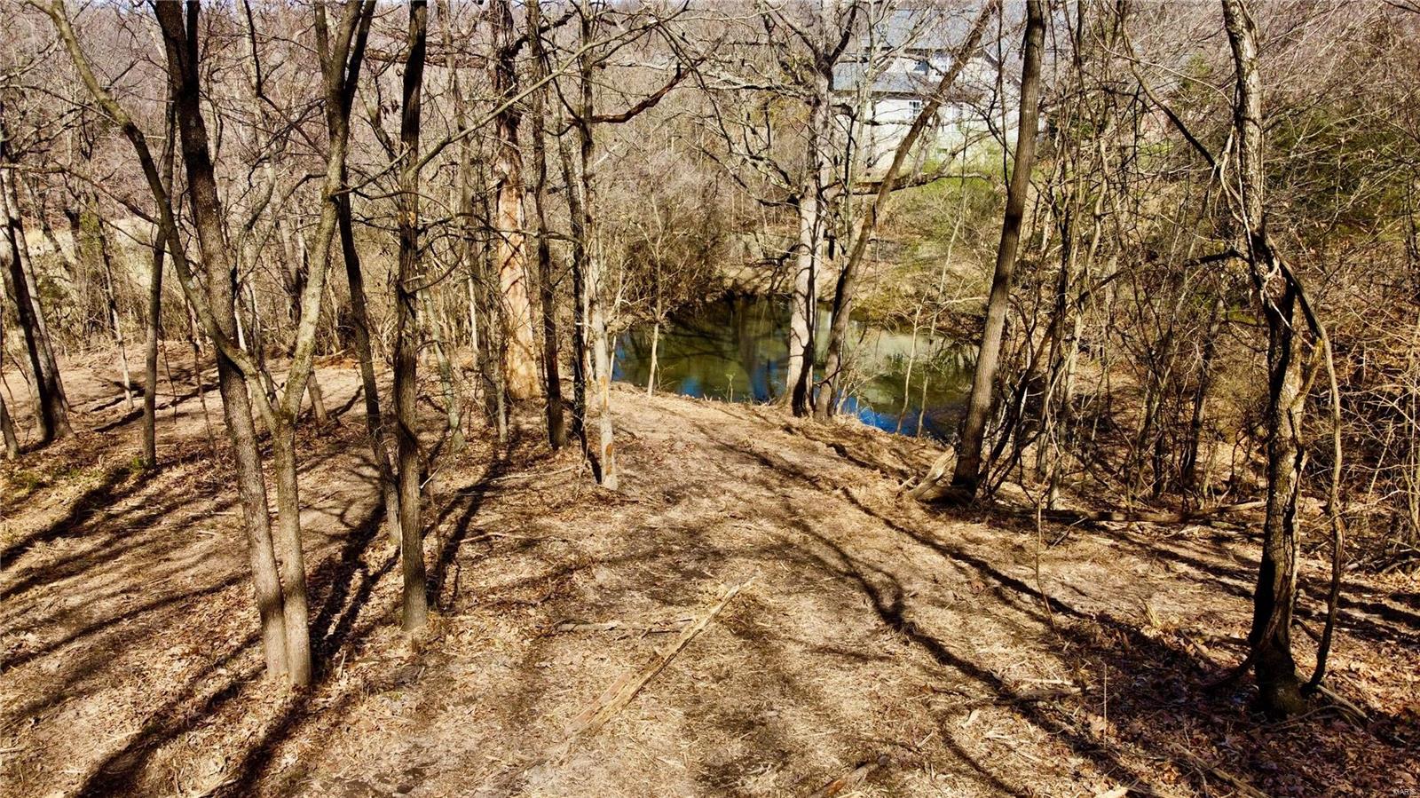 747 Heatherstone Drive High Ridge, MO 63049 - Photo 6 of 9