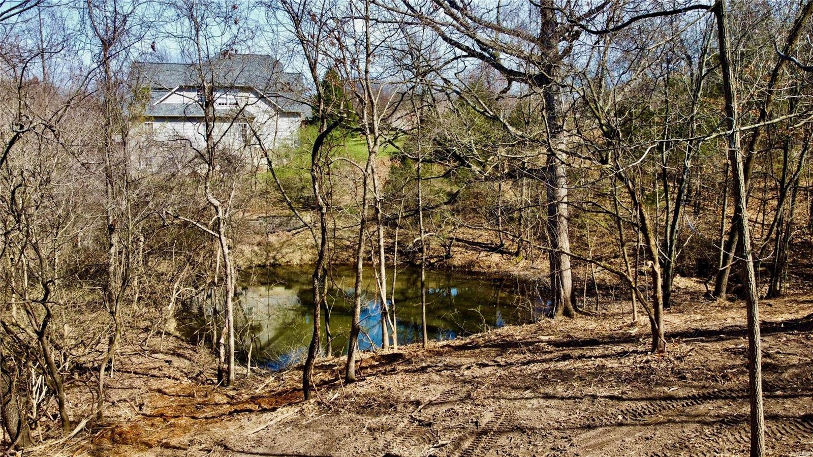 747 Heatherstone Drive High Ridge, MO 63049 - Photo 7 of 9