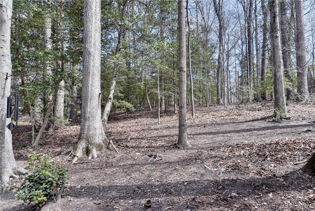 119 Hempstead Road Williamsburg, VA 23188 - Photo 32 of 36 Gallery Image 32