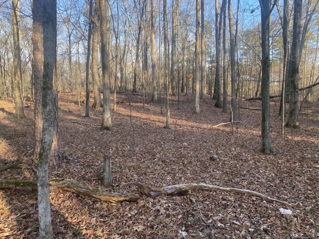 0 Jacobs Road Southeast Acworth, GA 30102 - Photo 2 of 10 a backyard of a house with lots of green space