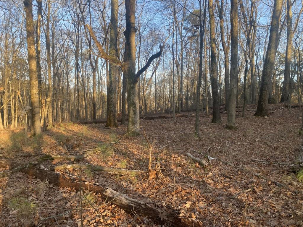 0 Jacobs Road Southeast Acworth, GA 30102 - Photo 3 of 10 a backyard of a house with lots of green space