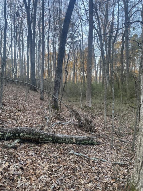 0 Jacobs Road Southeast Acworth, GA 30102 - Photo 4 of 10 a backyard of a house with lots of green space
