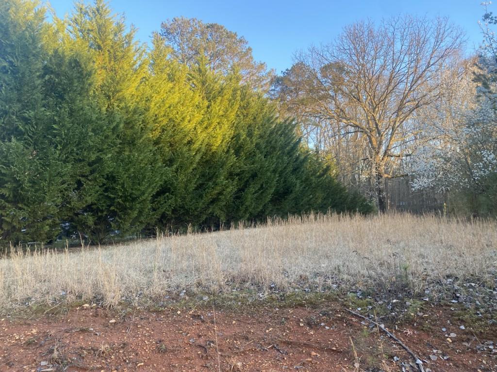 0 Jacobs Road Southeast Acworth, GA 30102 - Photo 5 of 10 a view of a lake view