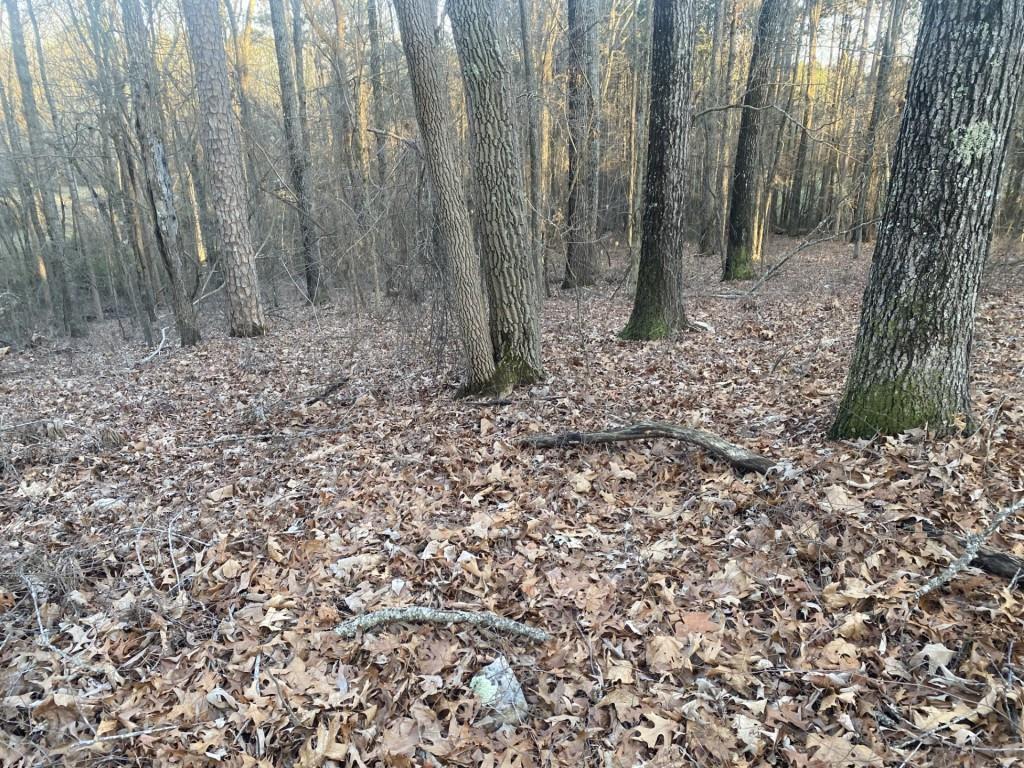 0 Jacobs Road Southeast Acworth, GA 30102 - Photo 7 of 10 a view of a backyard