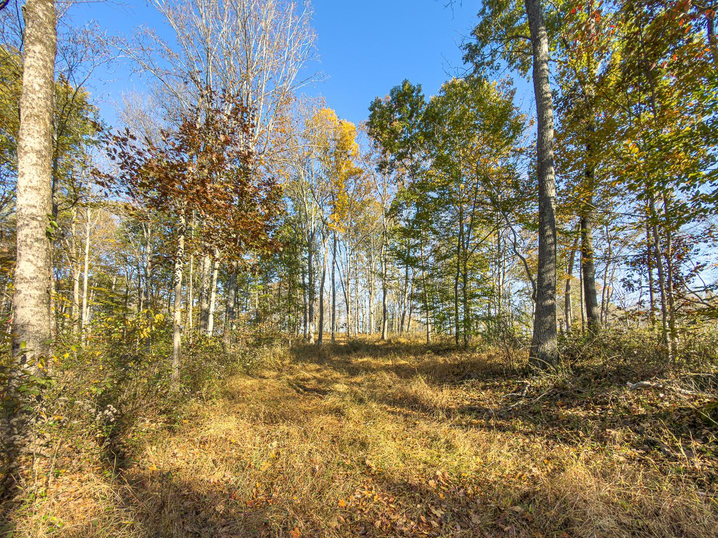 0 Chase Road Albany, OH 45710 - Photo 23 of 37 Chase Rd-23